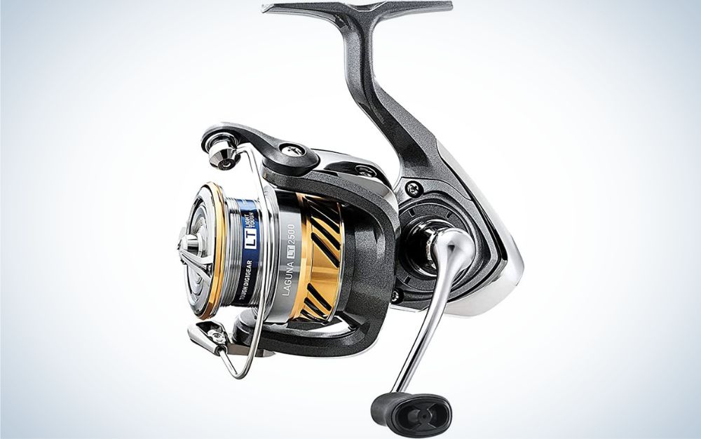 Best_Spinning_Reels_for_Bass_Daiwa
