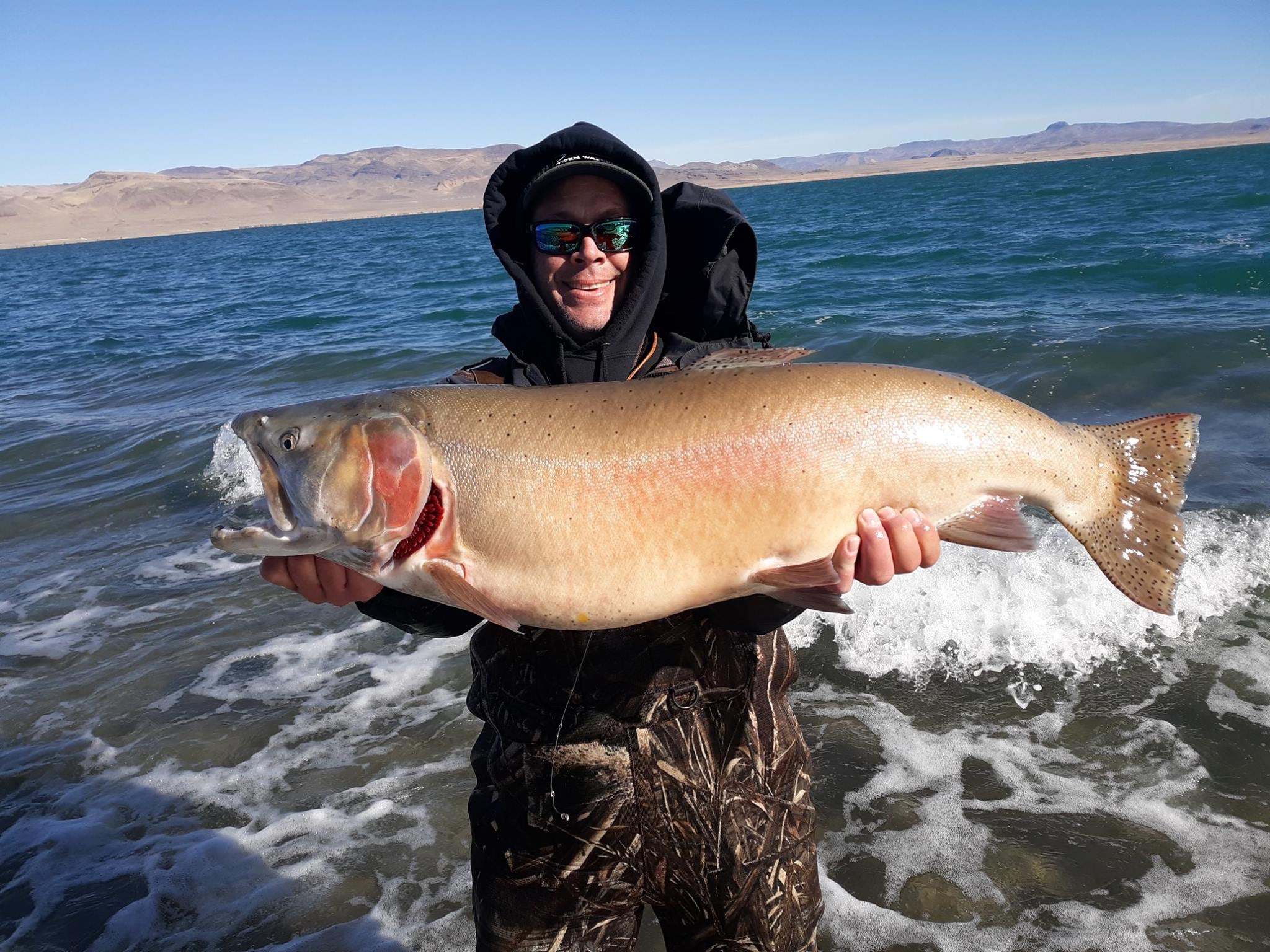 World record cuthroat trout
