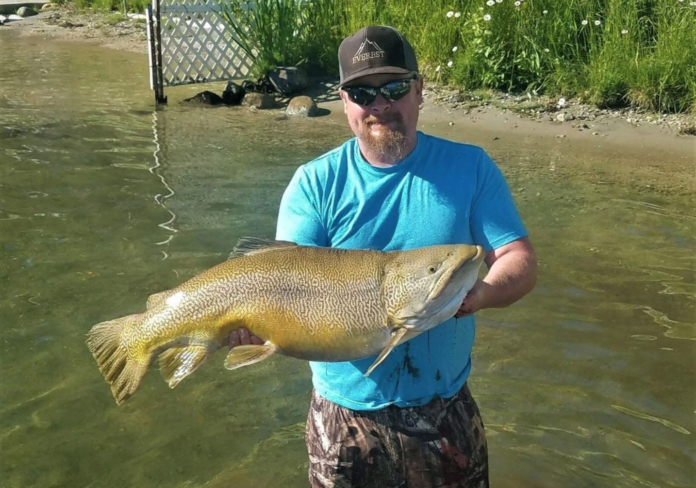 World record tiger trout