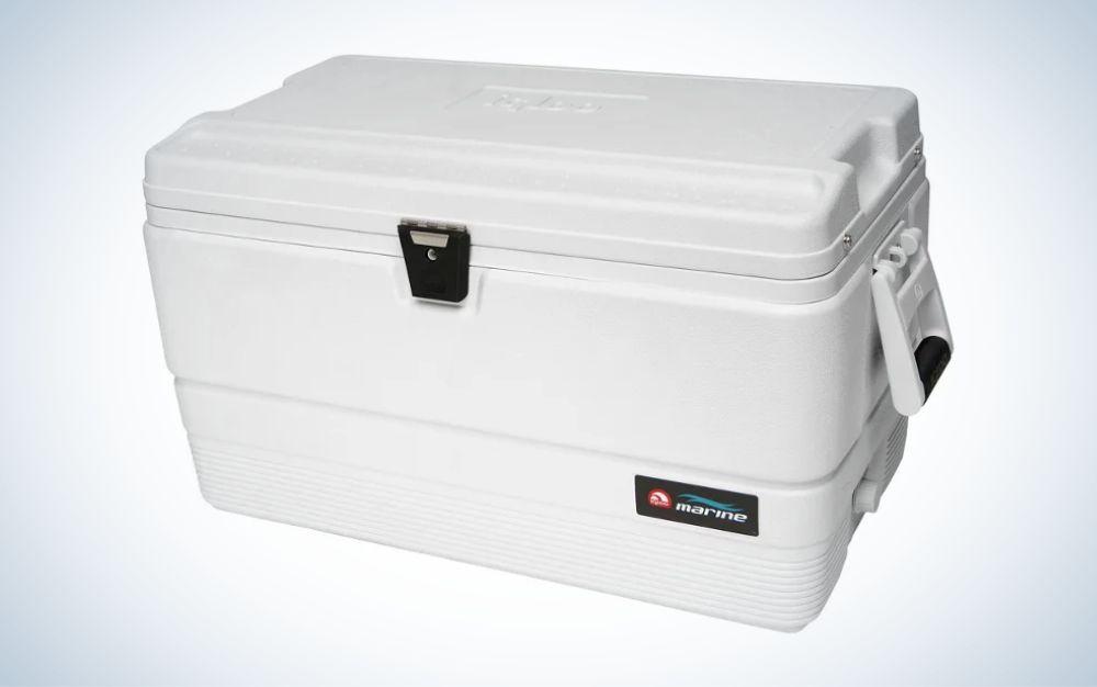 The Igloo Marine Ultra is the best budget boat cooler.