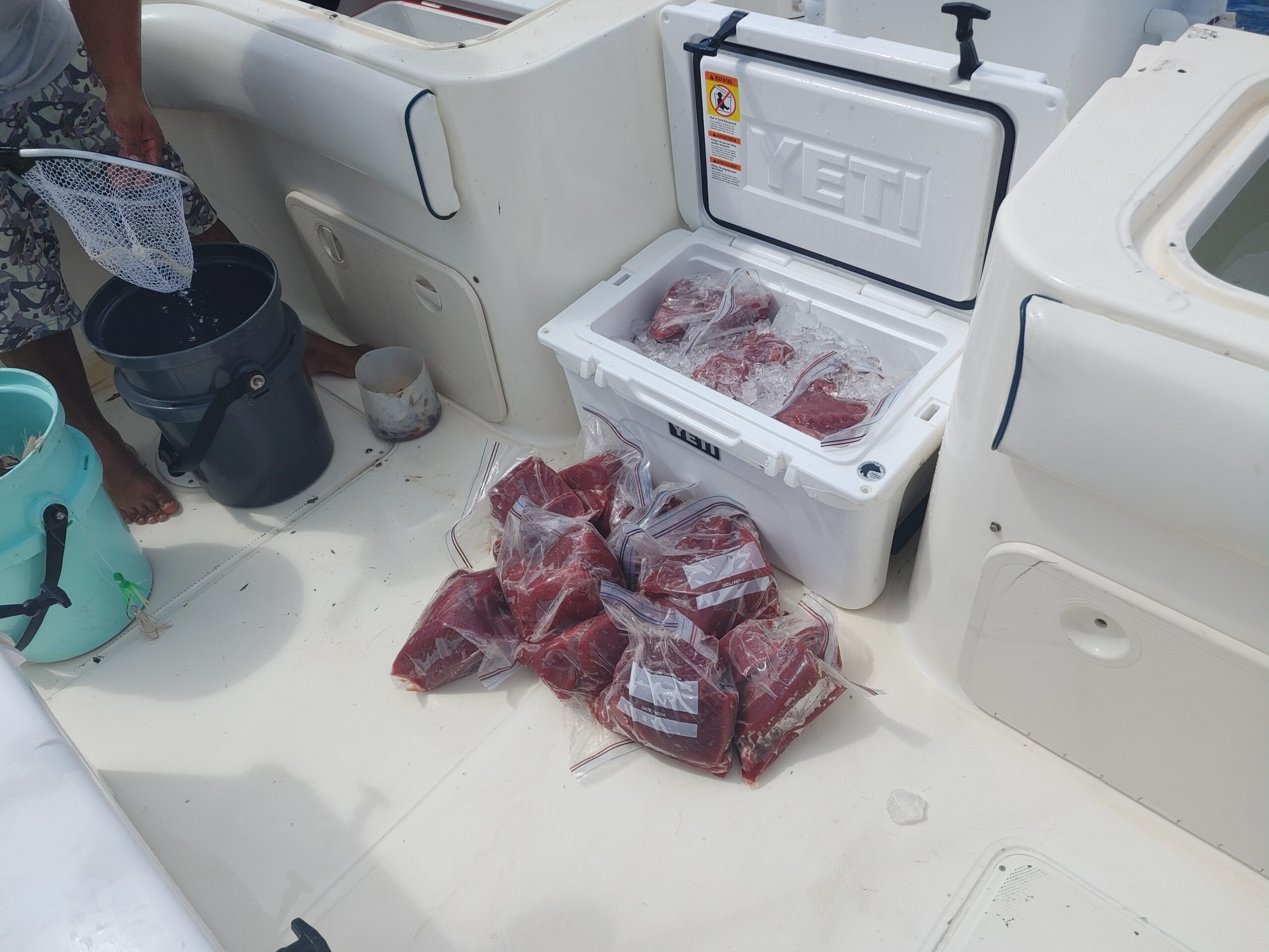 A Yeti Tundra boat cooler packed full of tuna meat.