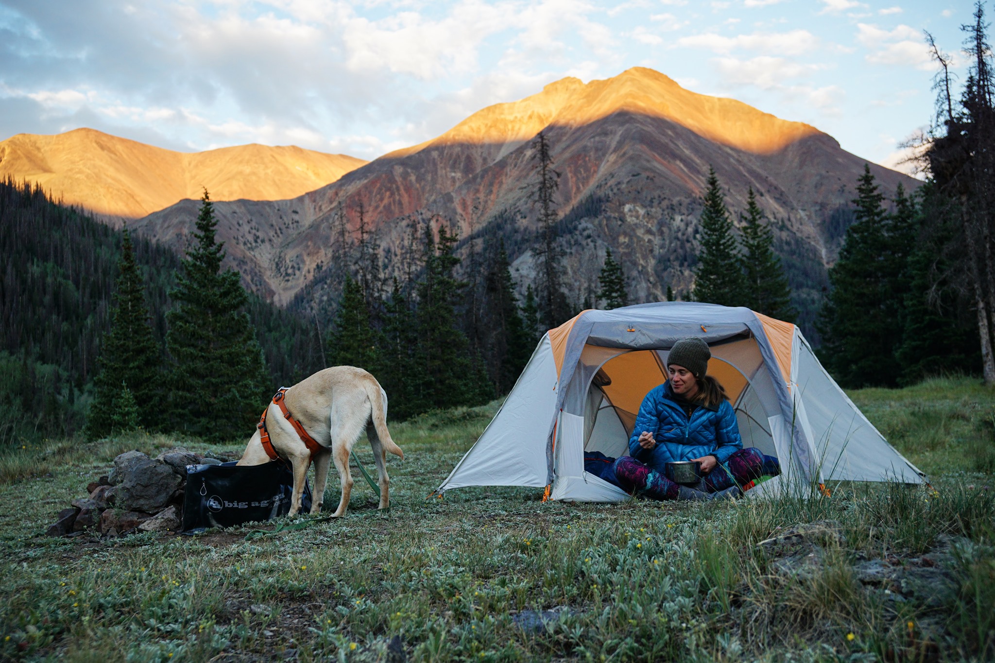 The best tents for camping with dogs