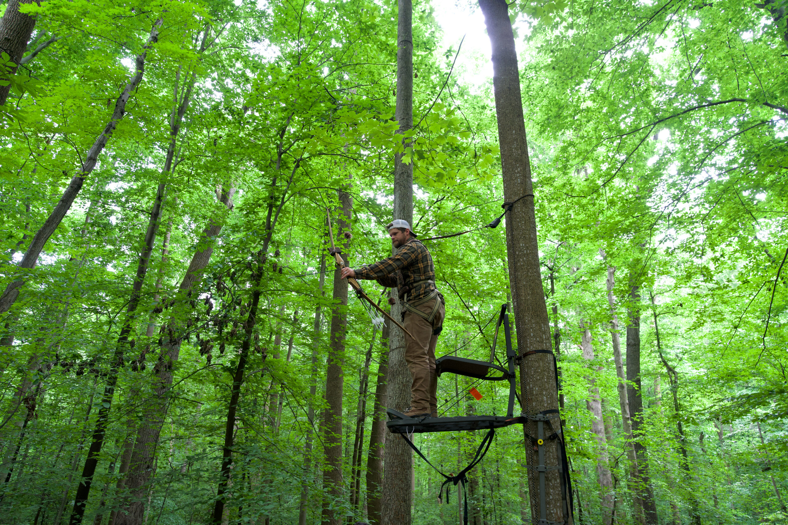 The Best Hang-On Tree Stands of 2023