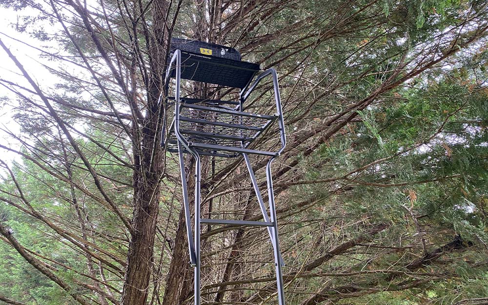 Hawk BigHorn Ladder Stand