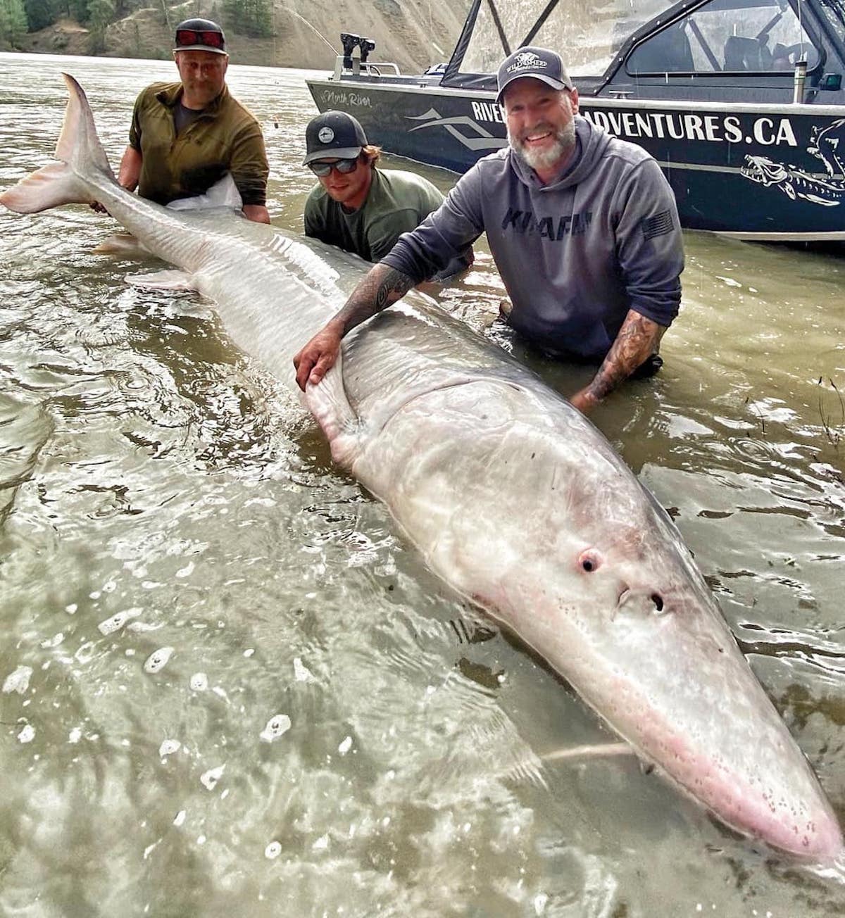 Steve Ecklund caught a massive sturgeon in BC recently on a fishing trip