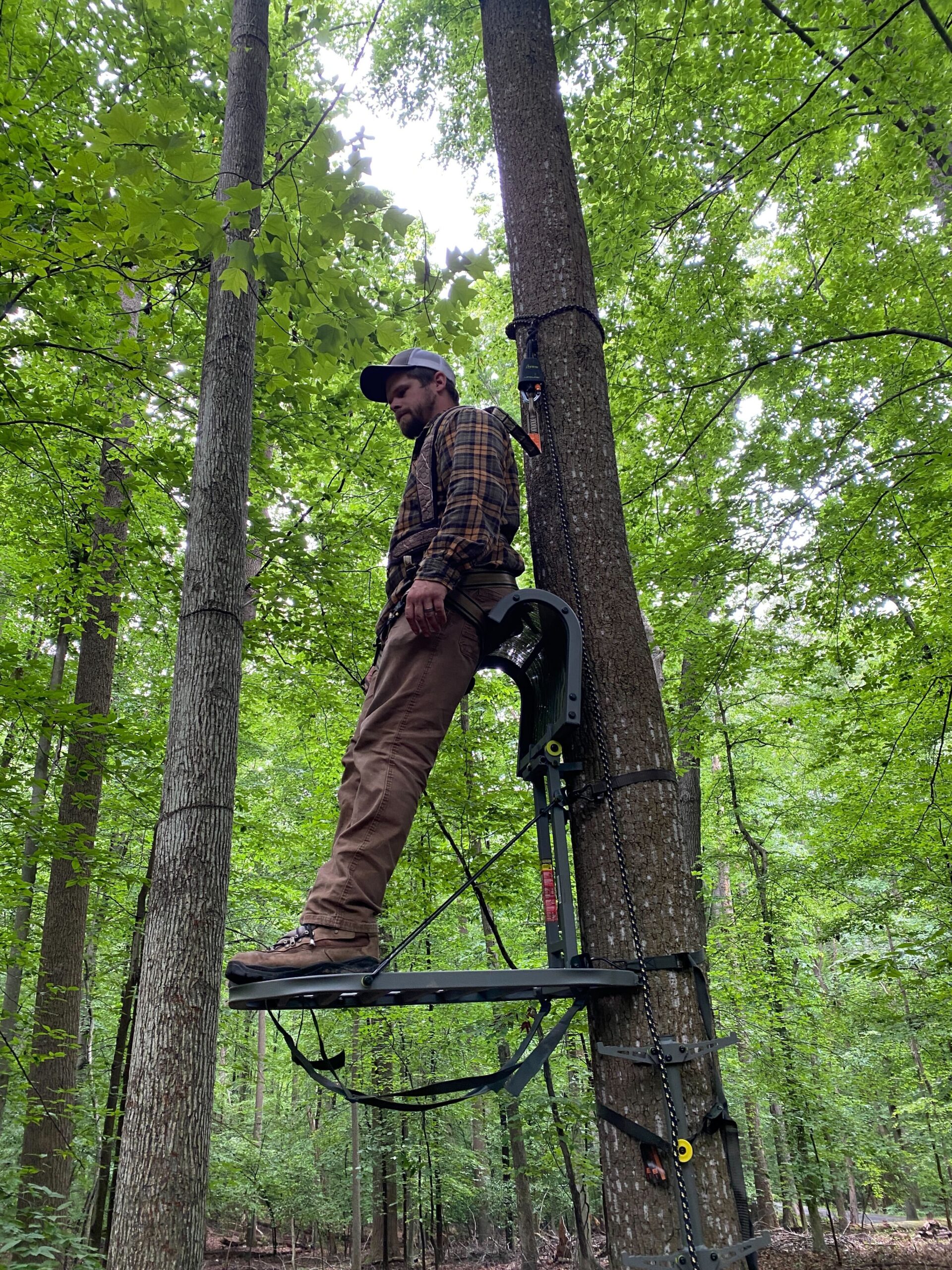 The Best Tree Stands of 2023