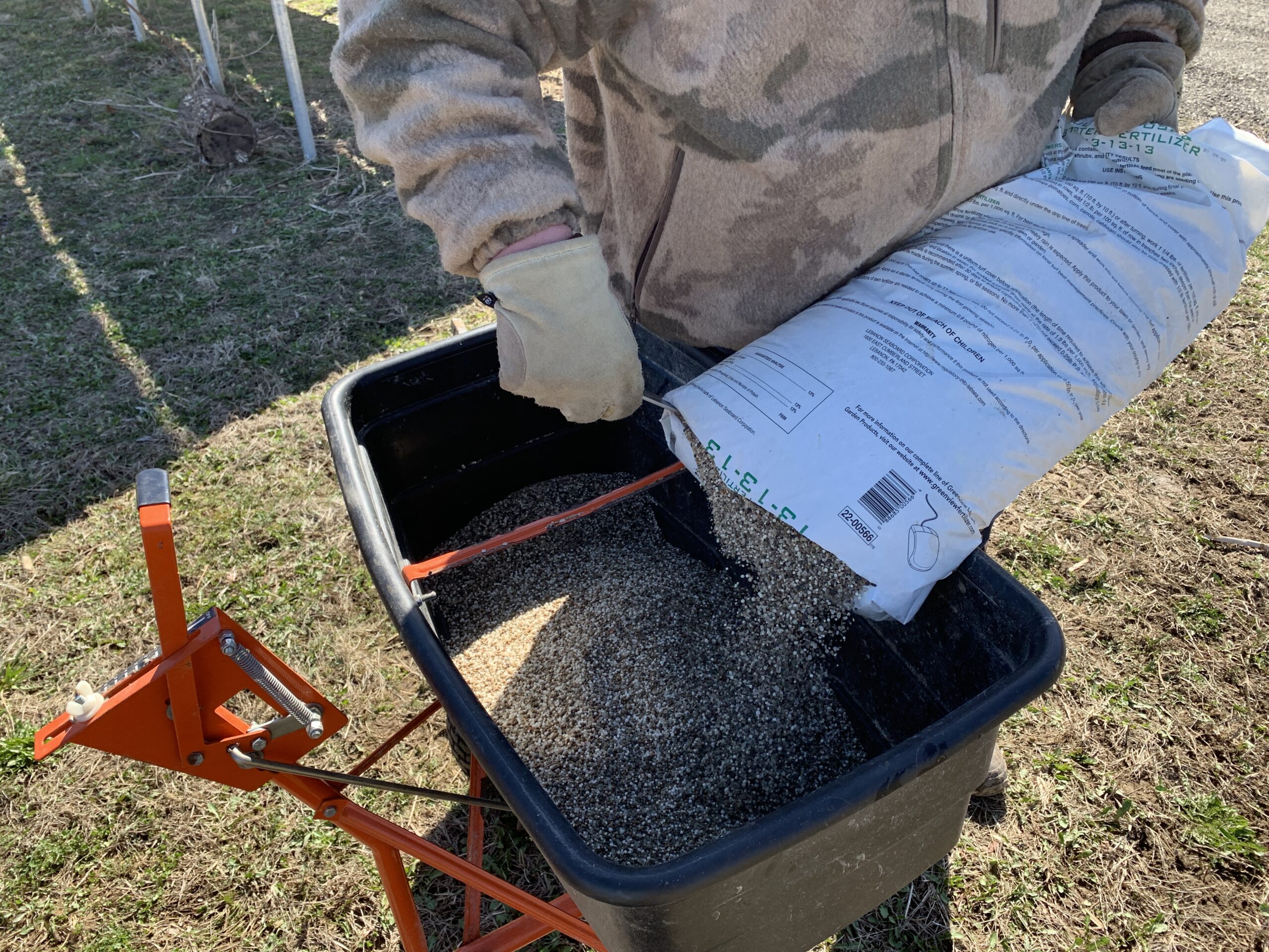 Broadcast wheat to make planting easy.