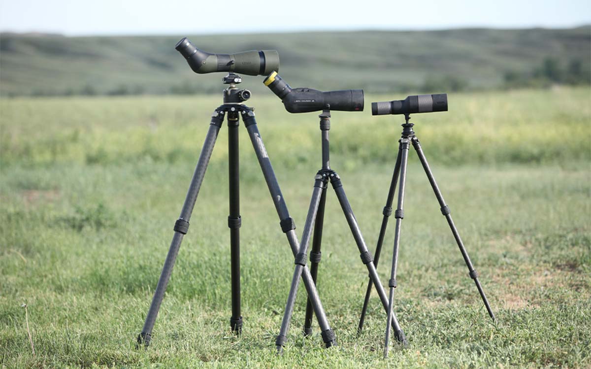 The Best Tripods of 2022