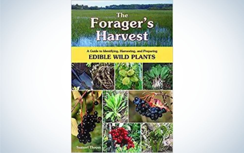 The Foragerâs Harvest: A Guide to Identifying, Harvesting, and Preparing Edible Wild Plants