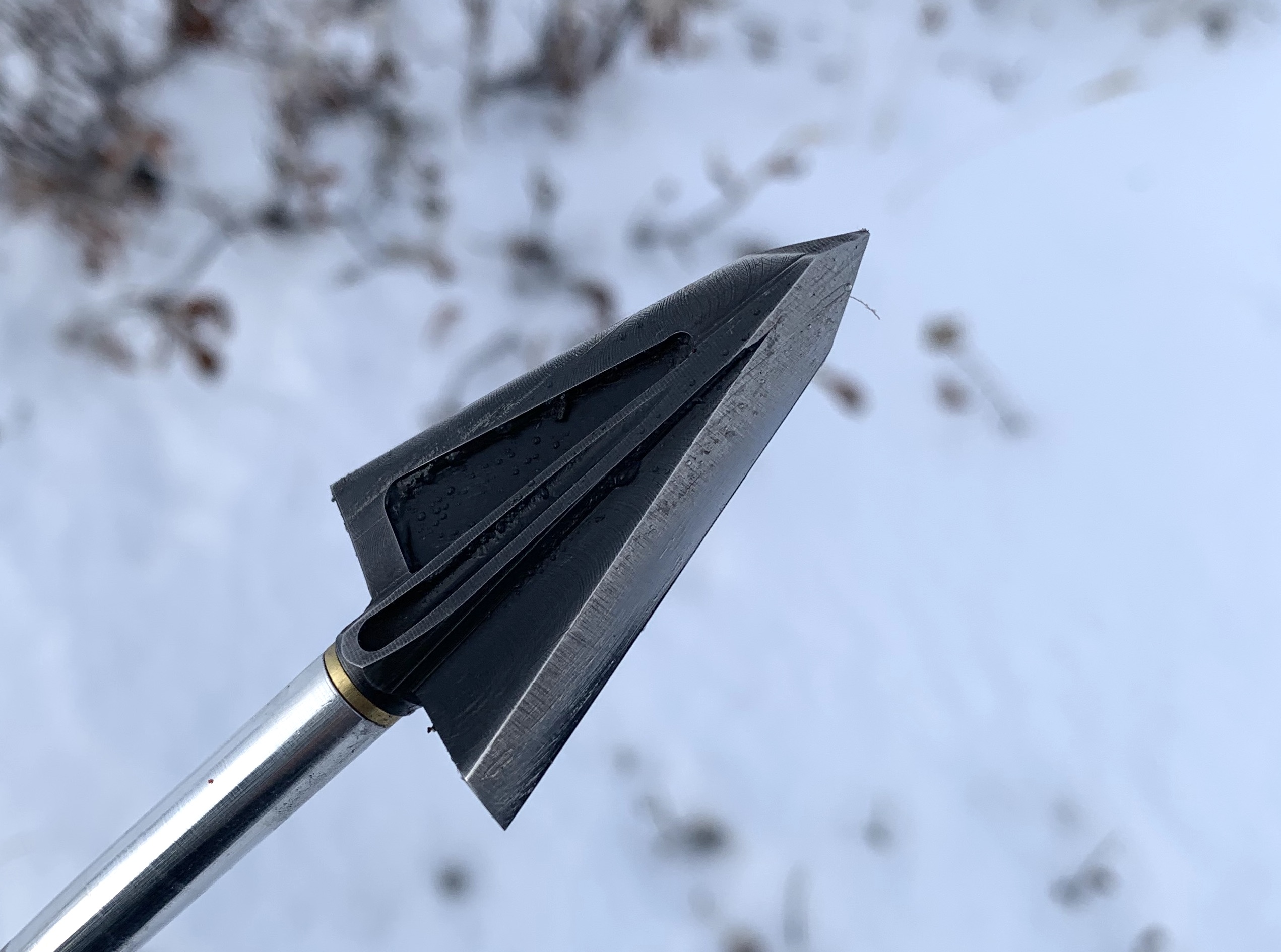 Single Bevel Broadheads: Everything Bowhunters Need to Know
