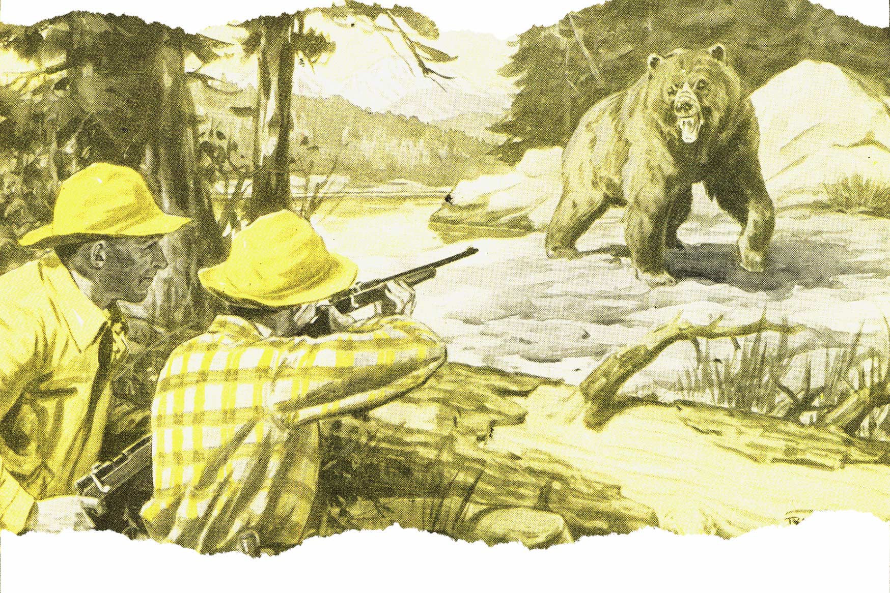hunter aims at bear