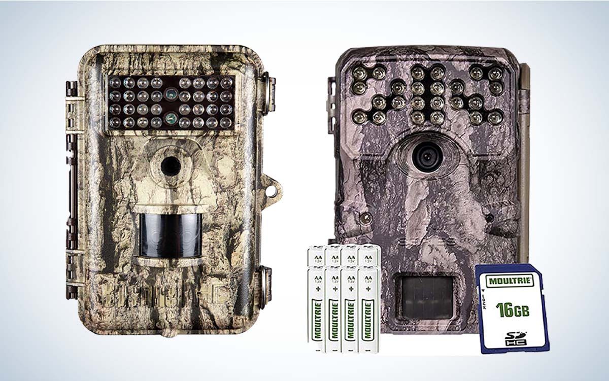 The Best Trail Camera Prime Day Deals 2022