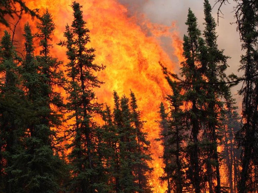 AK boreal wildfire