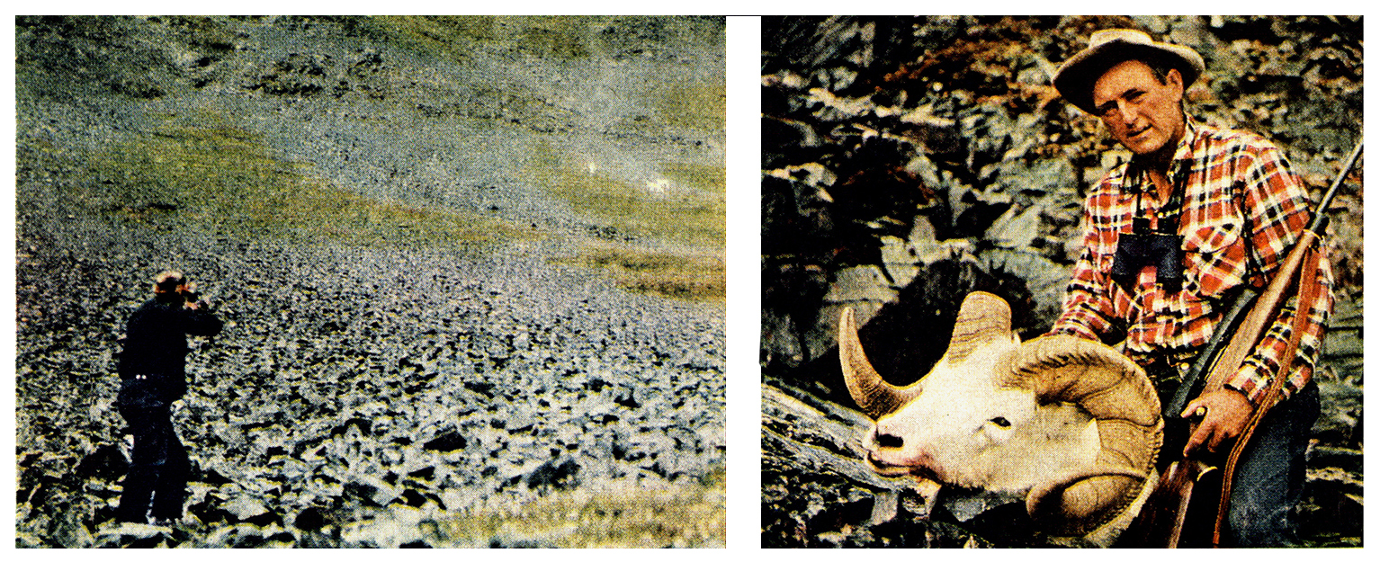 magazine photos of sheep hunt