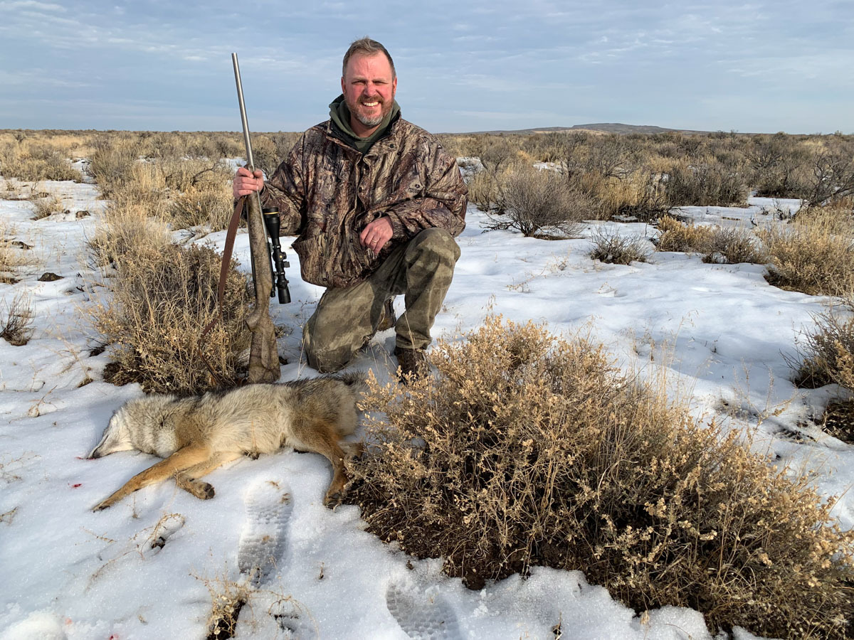 Coyote with the .17.