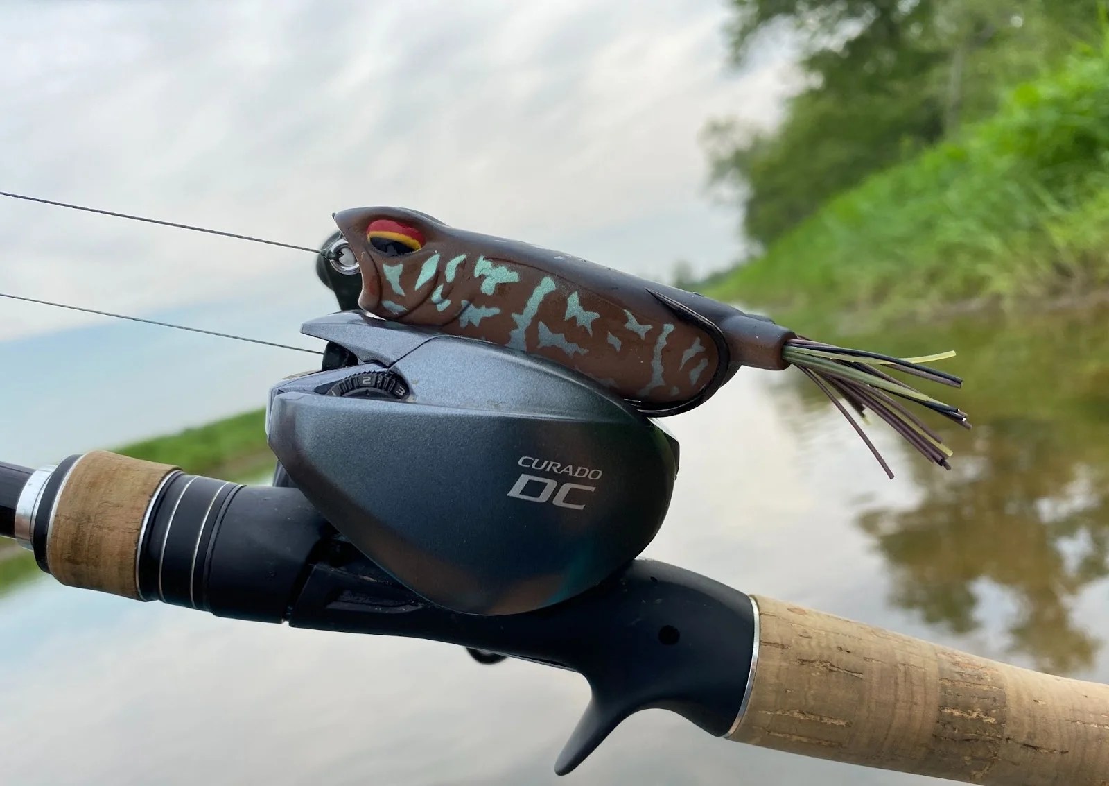 The Shimano Curado DC is one of the reels for frog lures