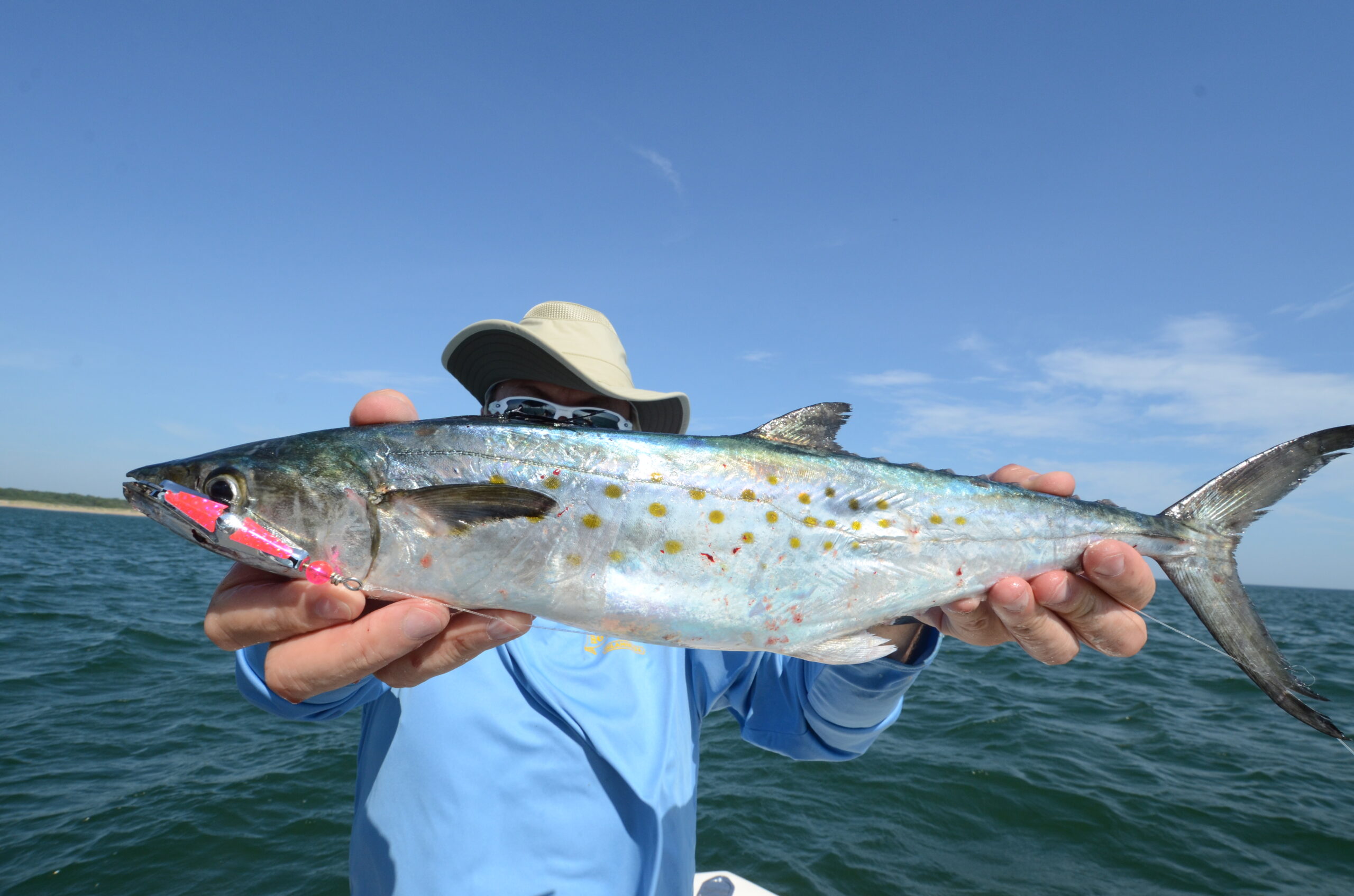 The best lures for Spanish mackerel are shiny and tough.