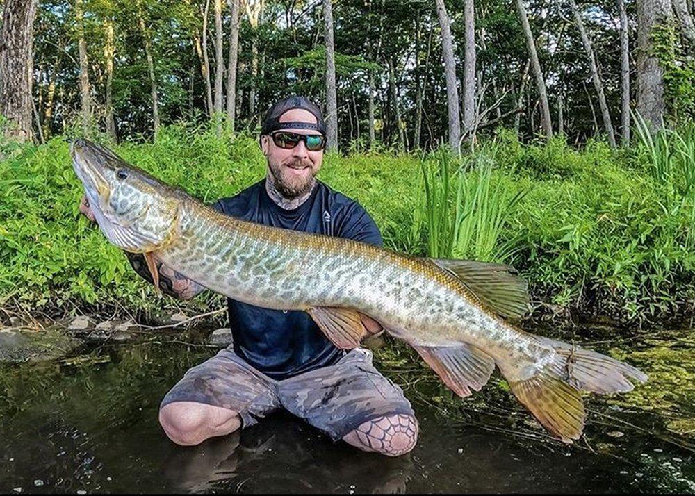 Angler Surprised to Catch Two Huge Tiger Muskies in Connecticut Reservoir