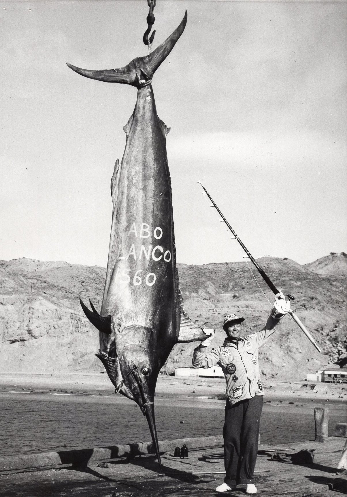 World record black marlin.