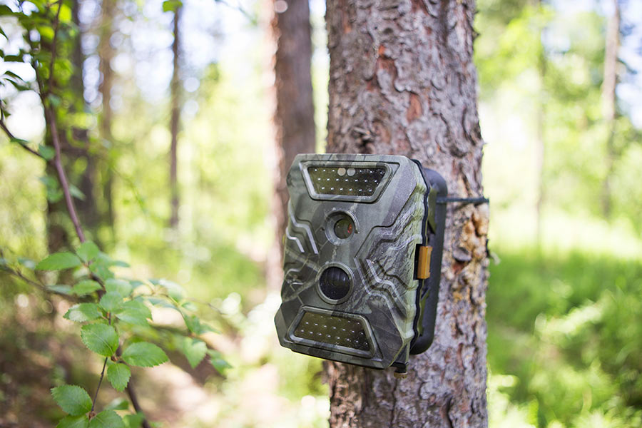 It's legal in most states for conservation officers to set up trail cameras on private land.