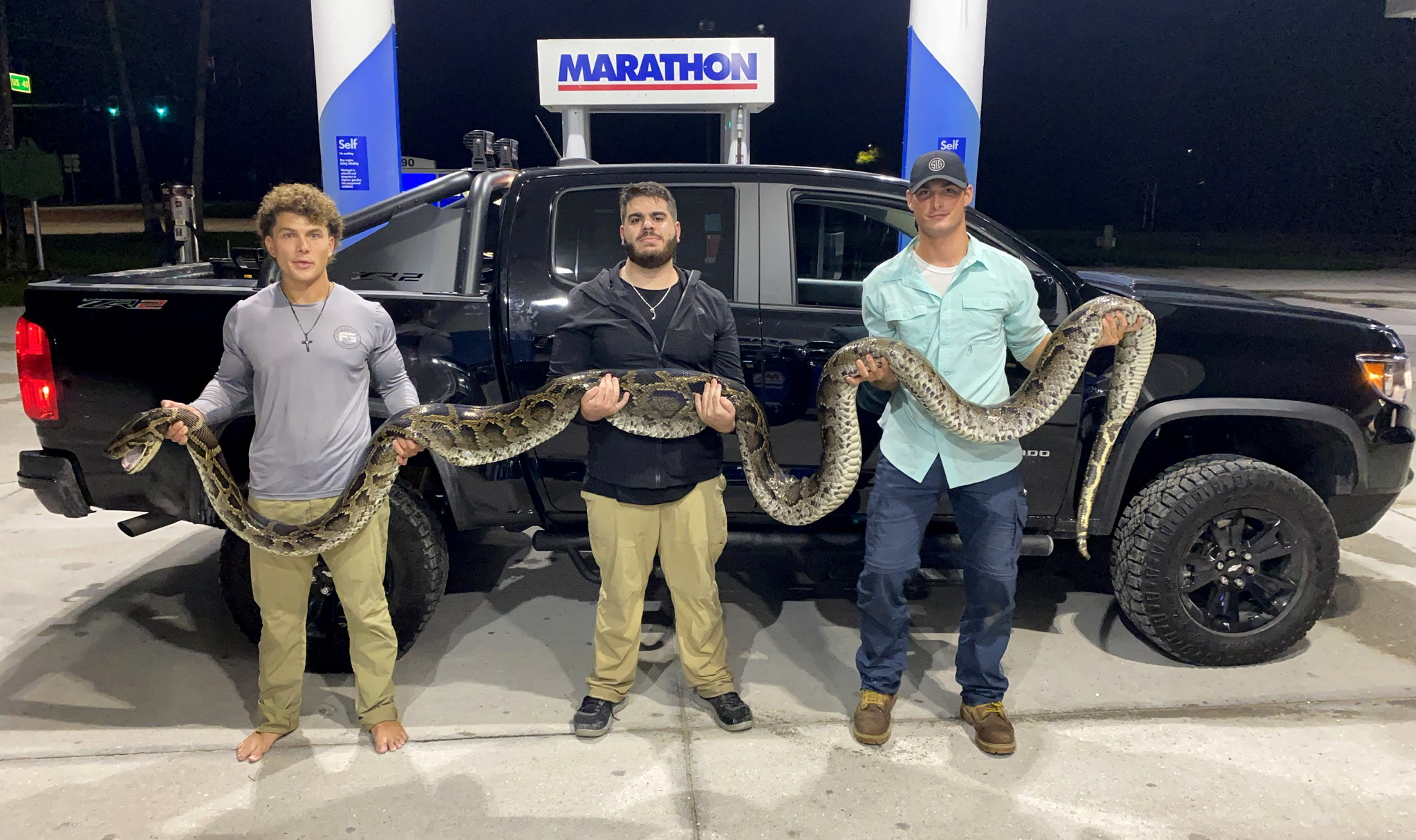 Amateur Snake Hunters Catch Giant 17-Foot Python in Florida