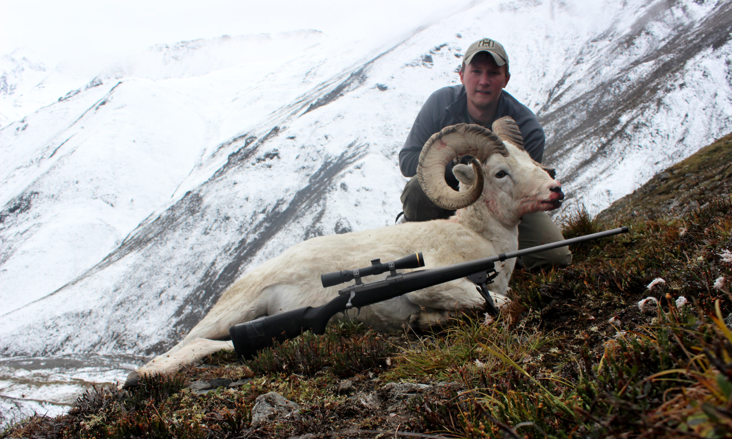 Freel with a late-August Dall sheep