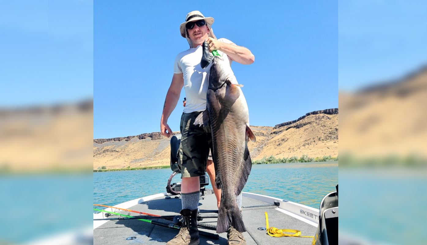 Idaho channel catfish turns out to be a blue cat.