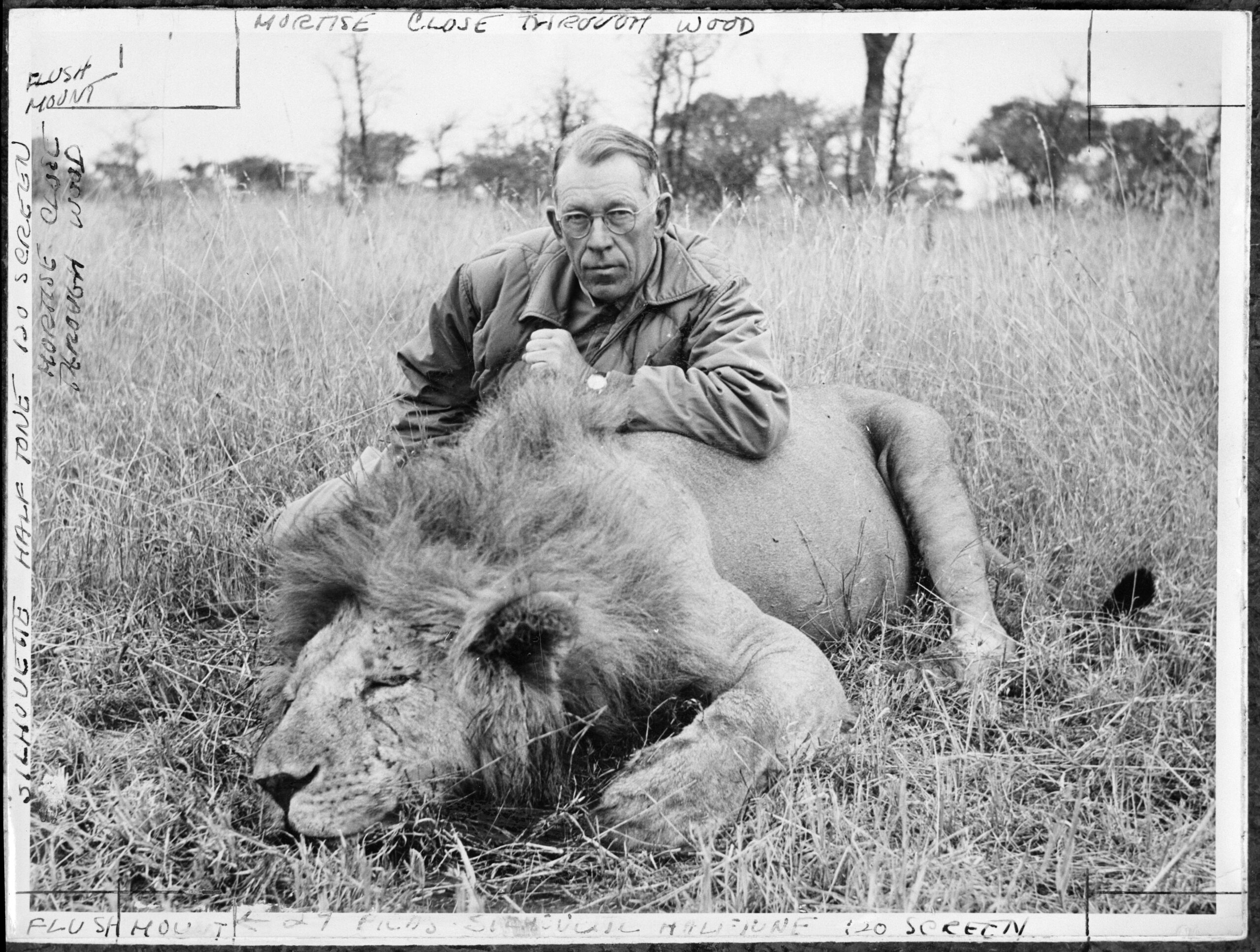 Jack O'Connor with a lion