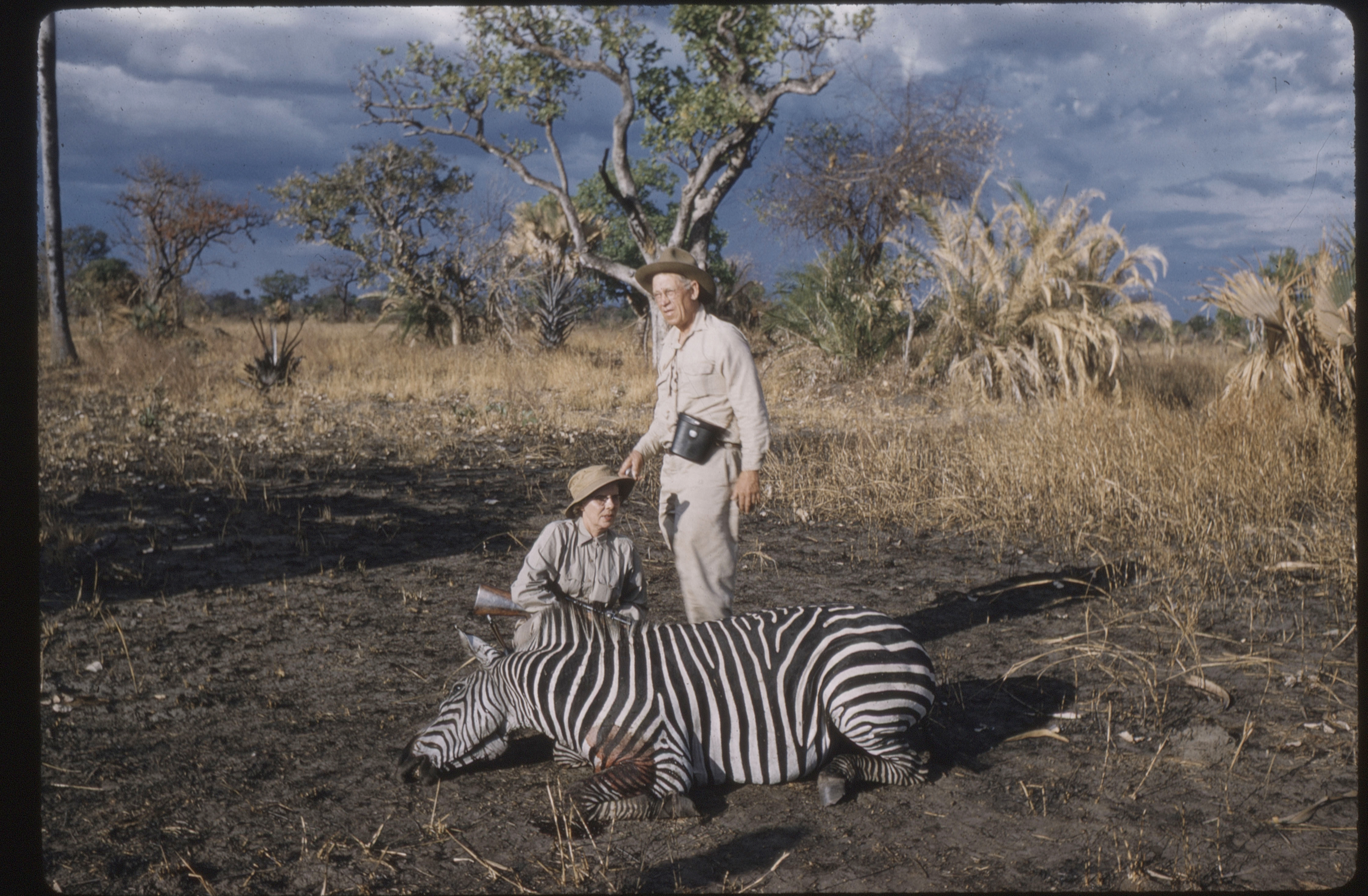 Jack and Eleanor O'Connor with a zebra.