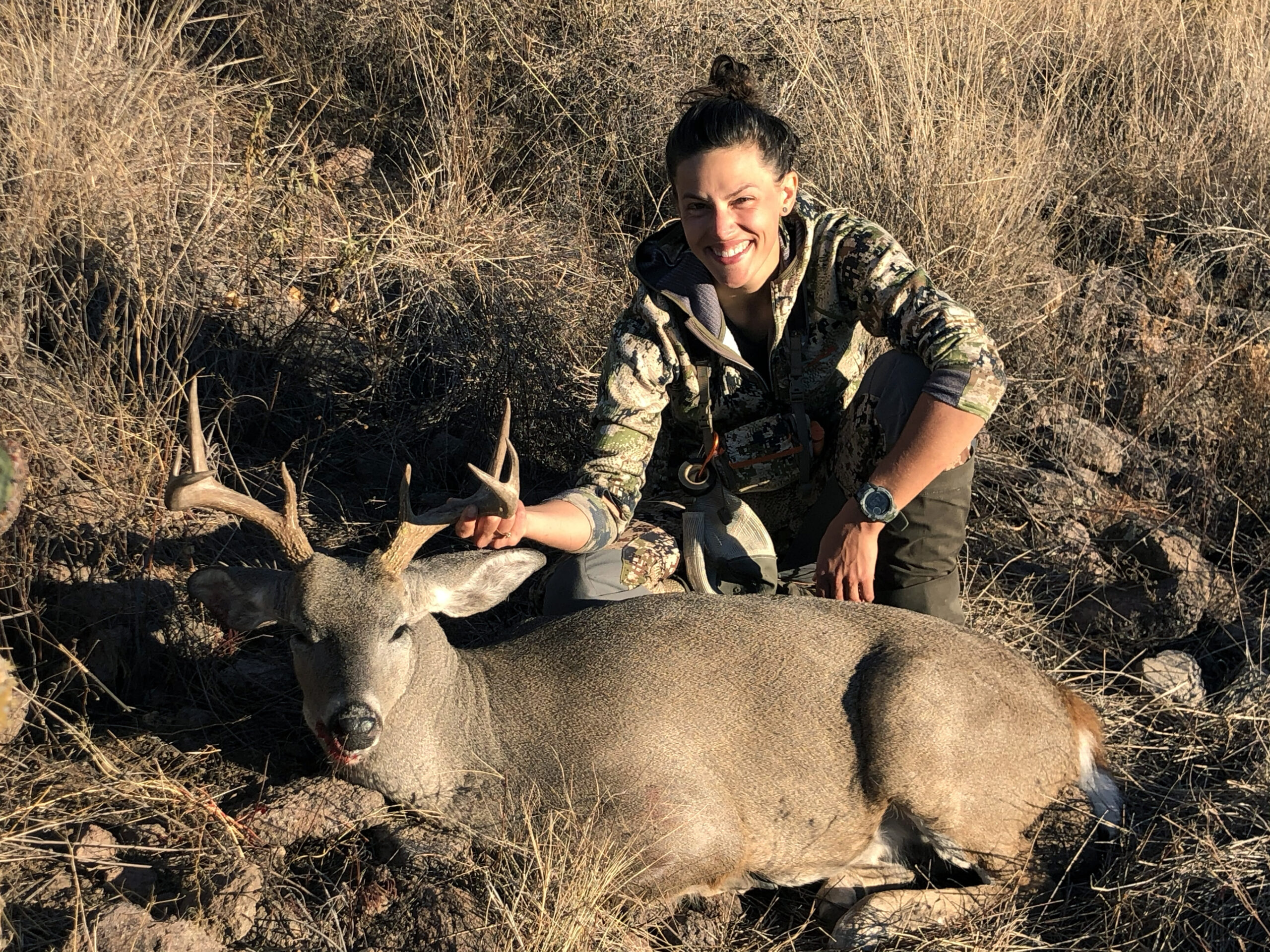 Arizona Coues deer buck.