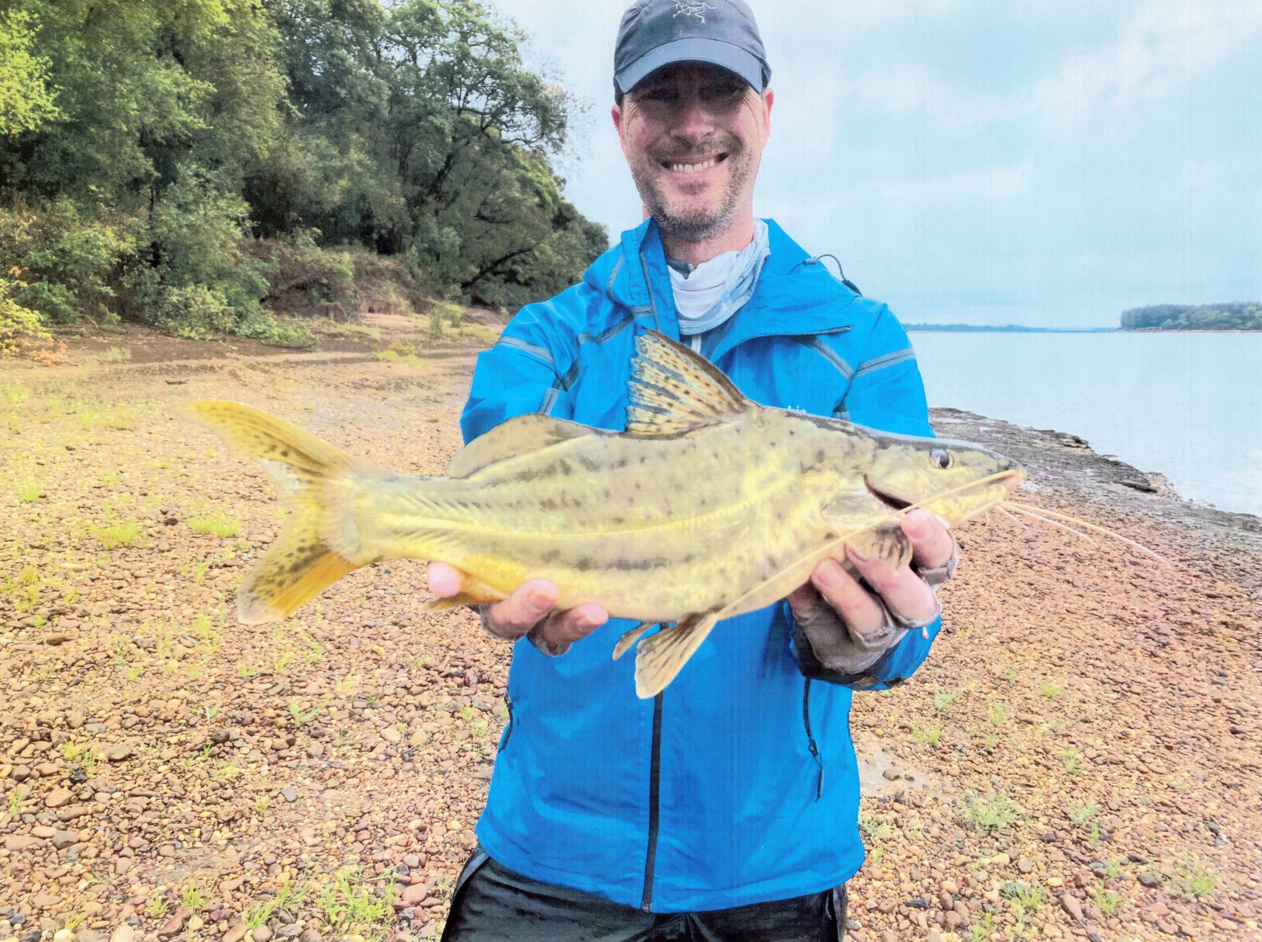 yellow catfish all-tackle world record
