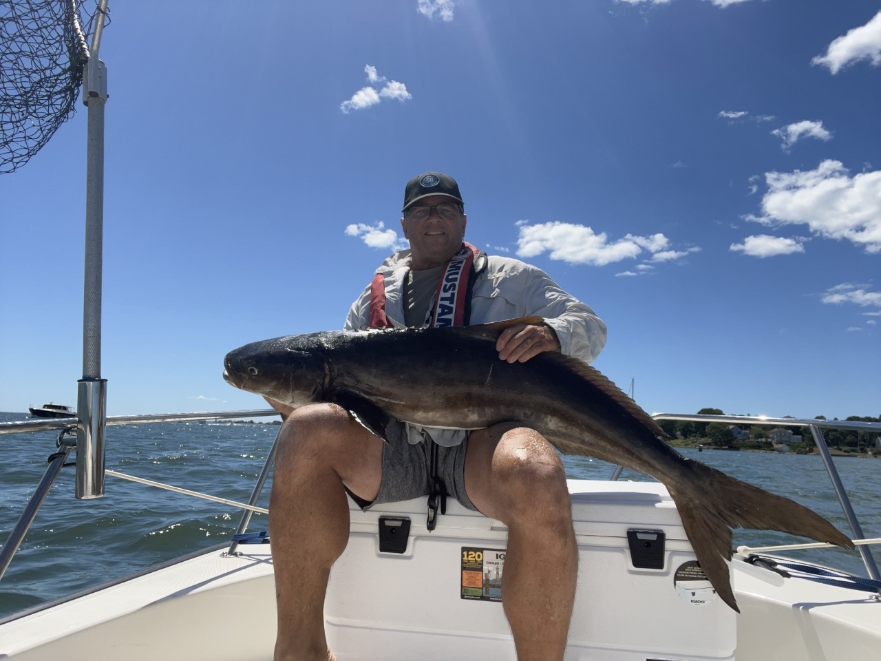 Unfamiliar Fish Turns Out to Be Connecticut's New State-Record Cobia