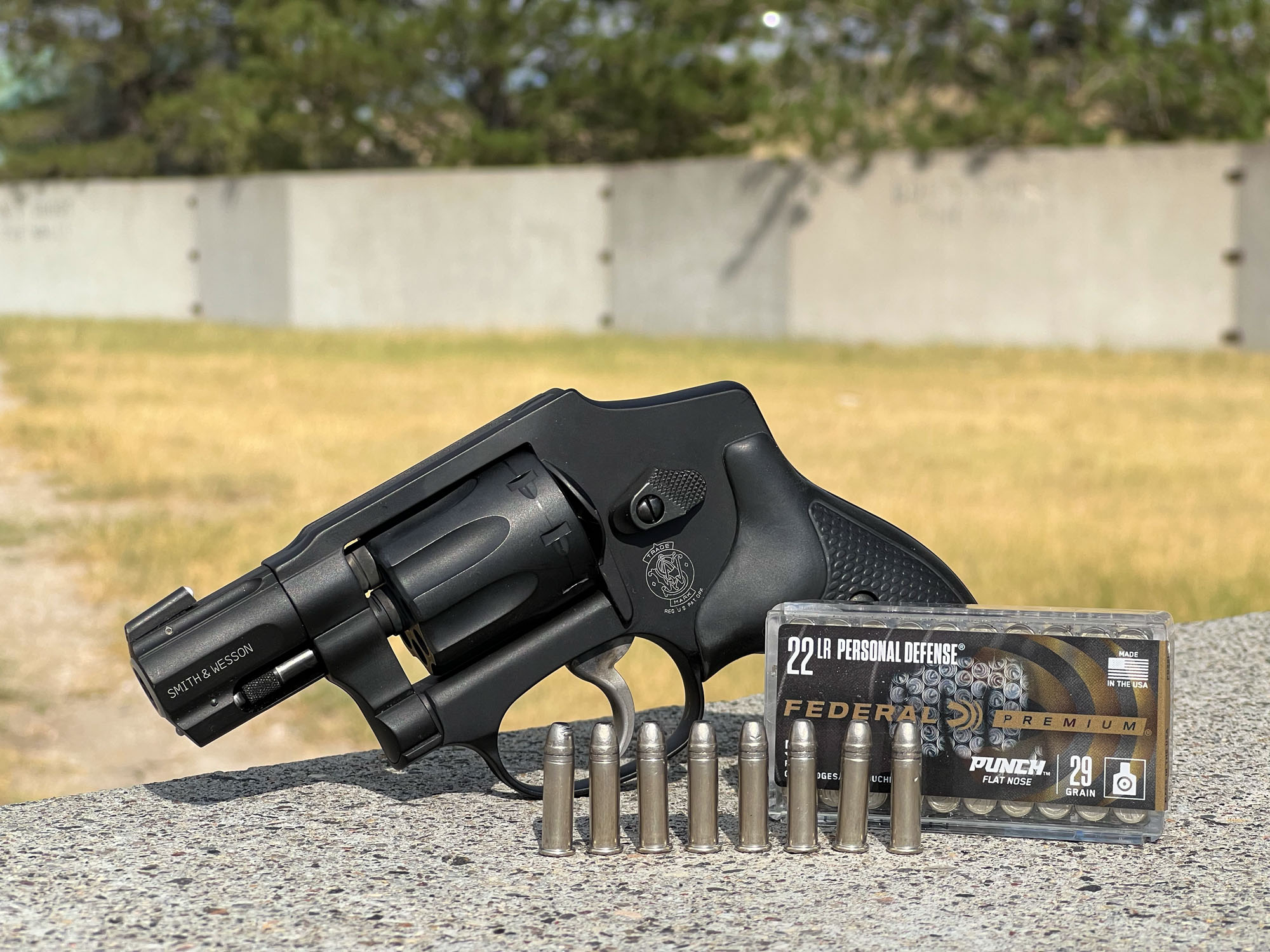 Federal 22 LR Punch with Smith & Wesson 43 C