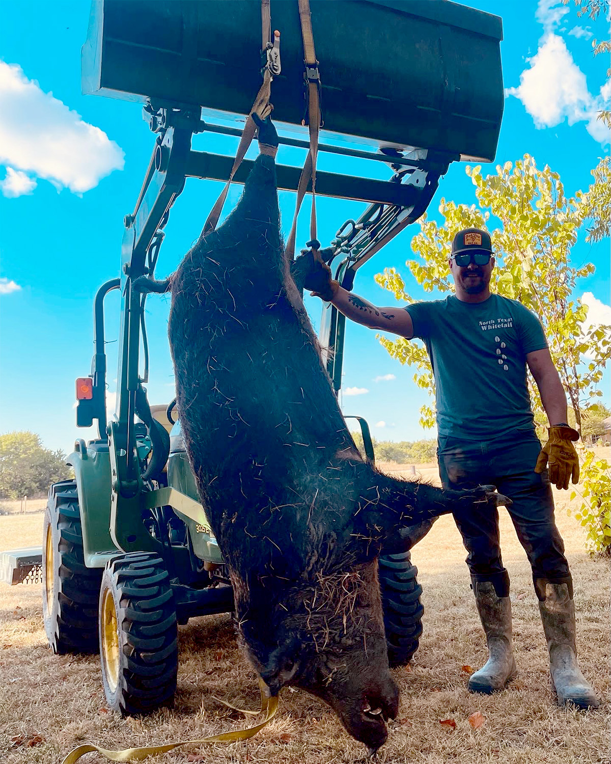 dakota landers 350-pound hog