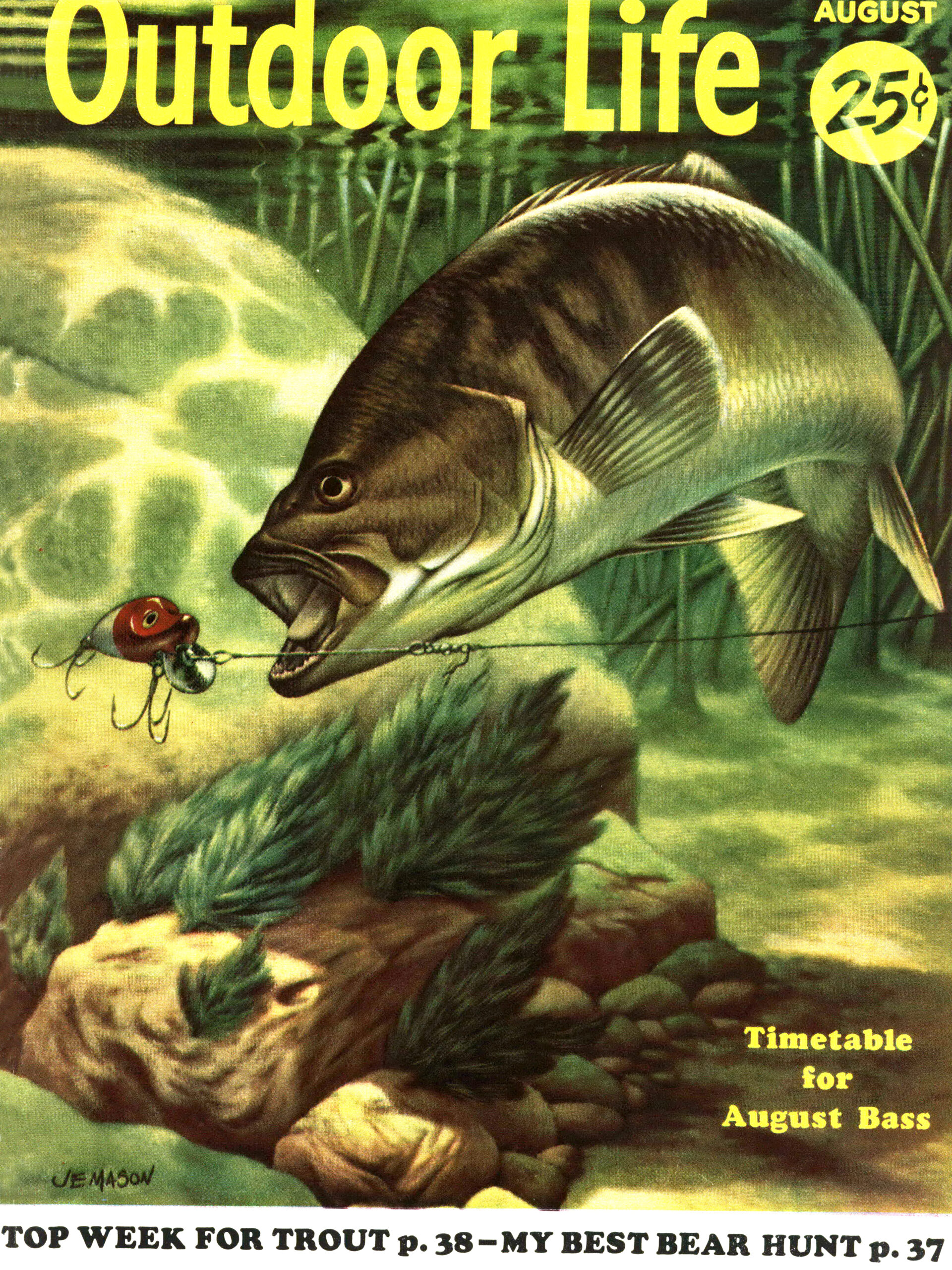 magazine cover shows fish taking lure