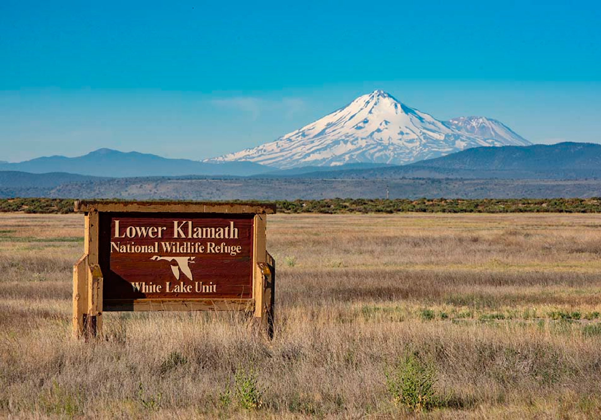 Lower Klamath National Wildlife Refuge closed to all bird hunting this week.