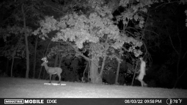 The Moultrie Edge did the best in our budget trail camera test