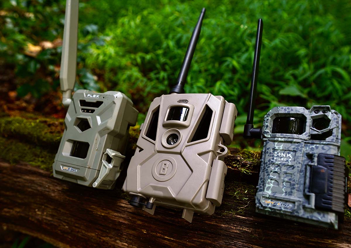 We tested the best budget trail cameras in a standardized test and in the field.
