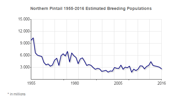 pintail population 1955-2016