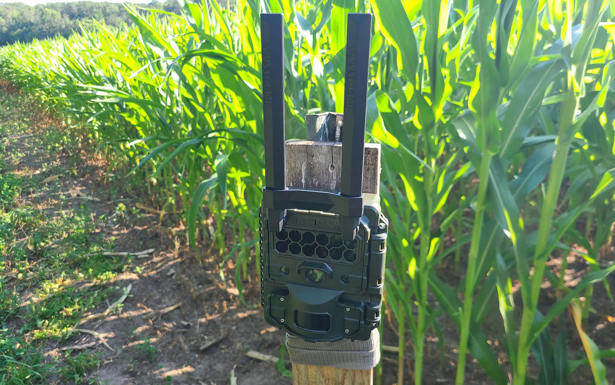 The Reconyx Hyperfire 2 Celluar is the best overall cellular trail camera.