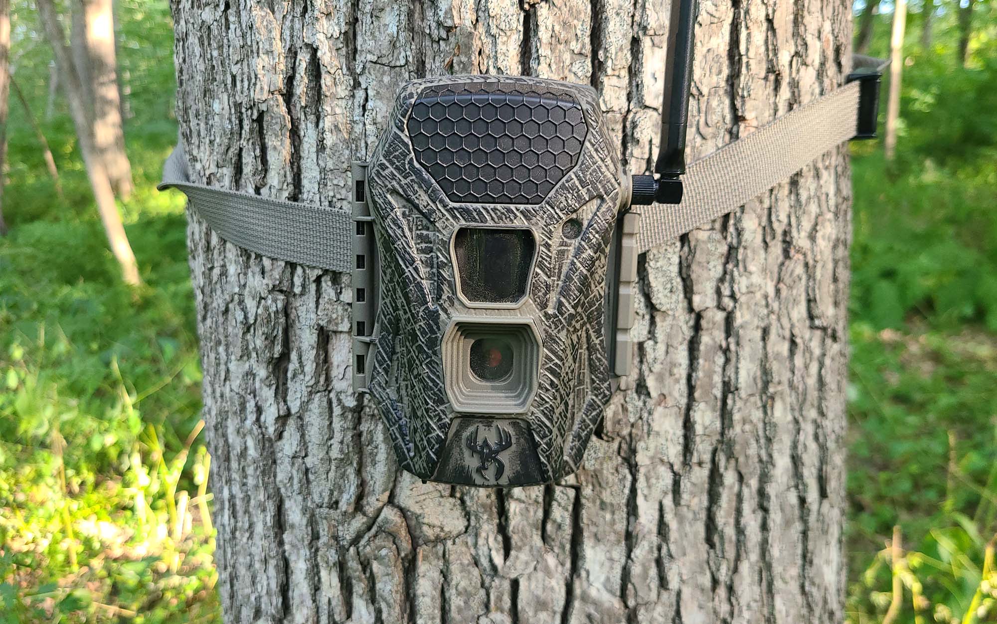 The Wildgame Terra Cell has an 80-foot range.