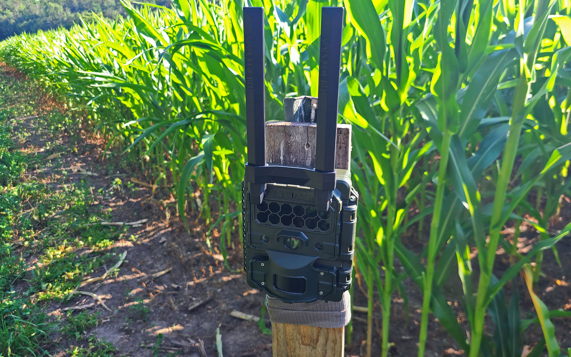 Best Cellular Trail Cameras of 2023, Tested and Reviewed | Outdoor Life
