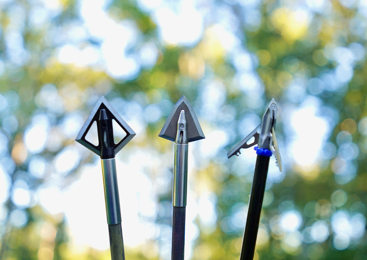 The best broadheads for deer are displayed in the woods.