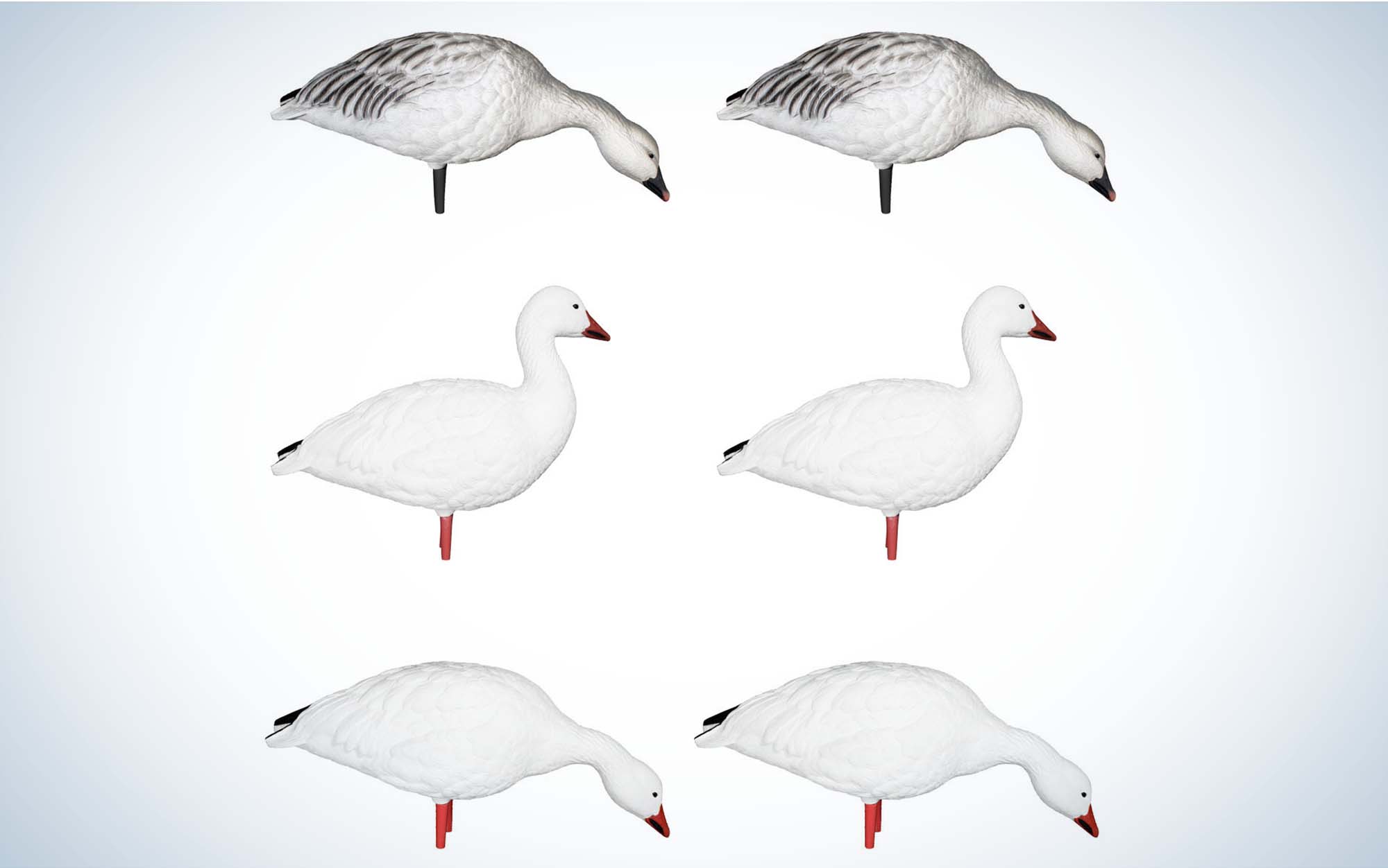 THe Avian-X AXP are the best oversize snow goose decoys.