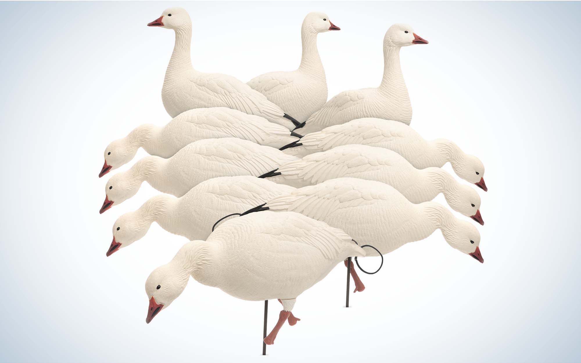 The Dave Smith Decoys are the best overall snow goose decoys.
