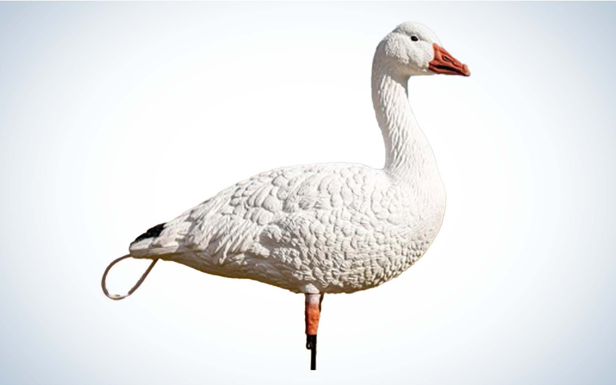 The SX Full Body Adult Blue Goose Decoy Pack are the best snow goose decoys for small spreads.