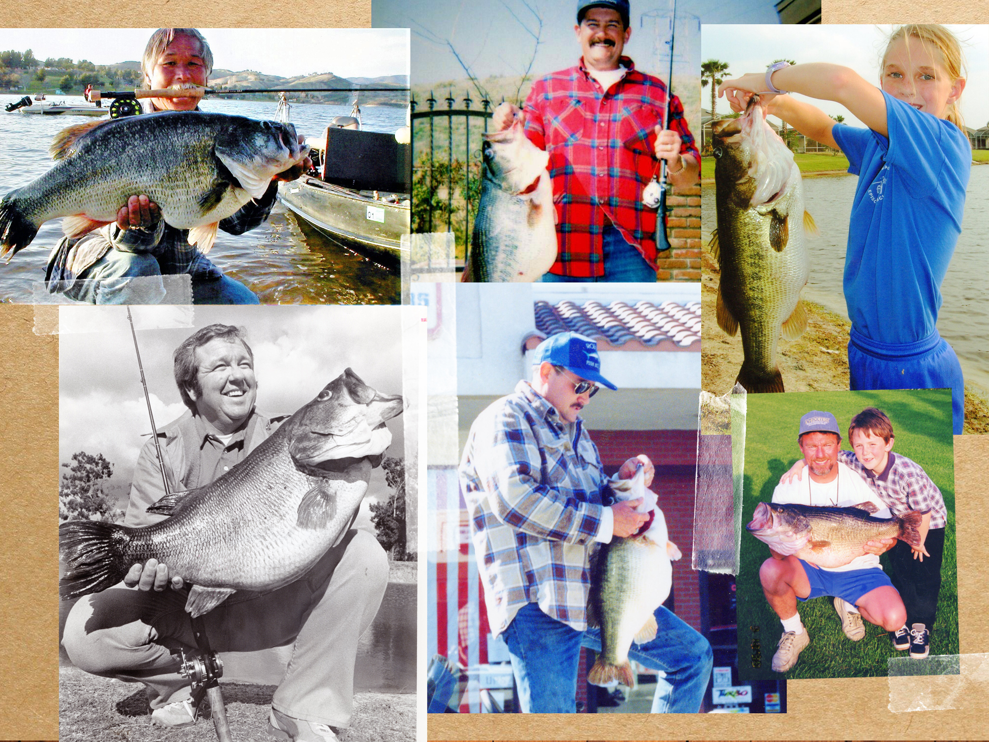 collage of record bass snapshots