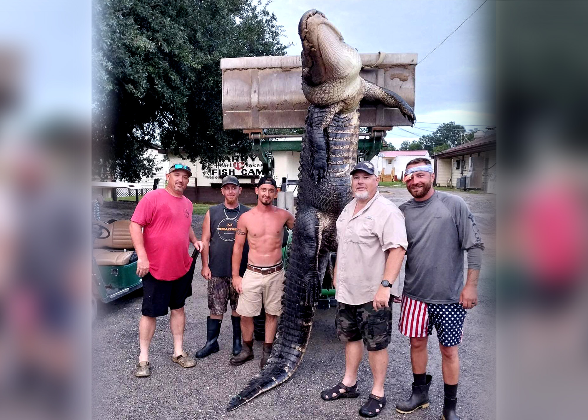 Two Giant, 13-Foot Alligators Taken from South Carolina Lakes in One Day