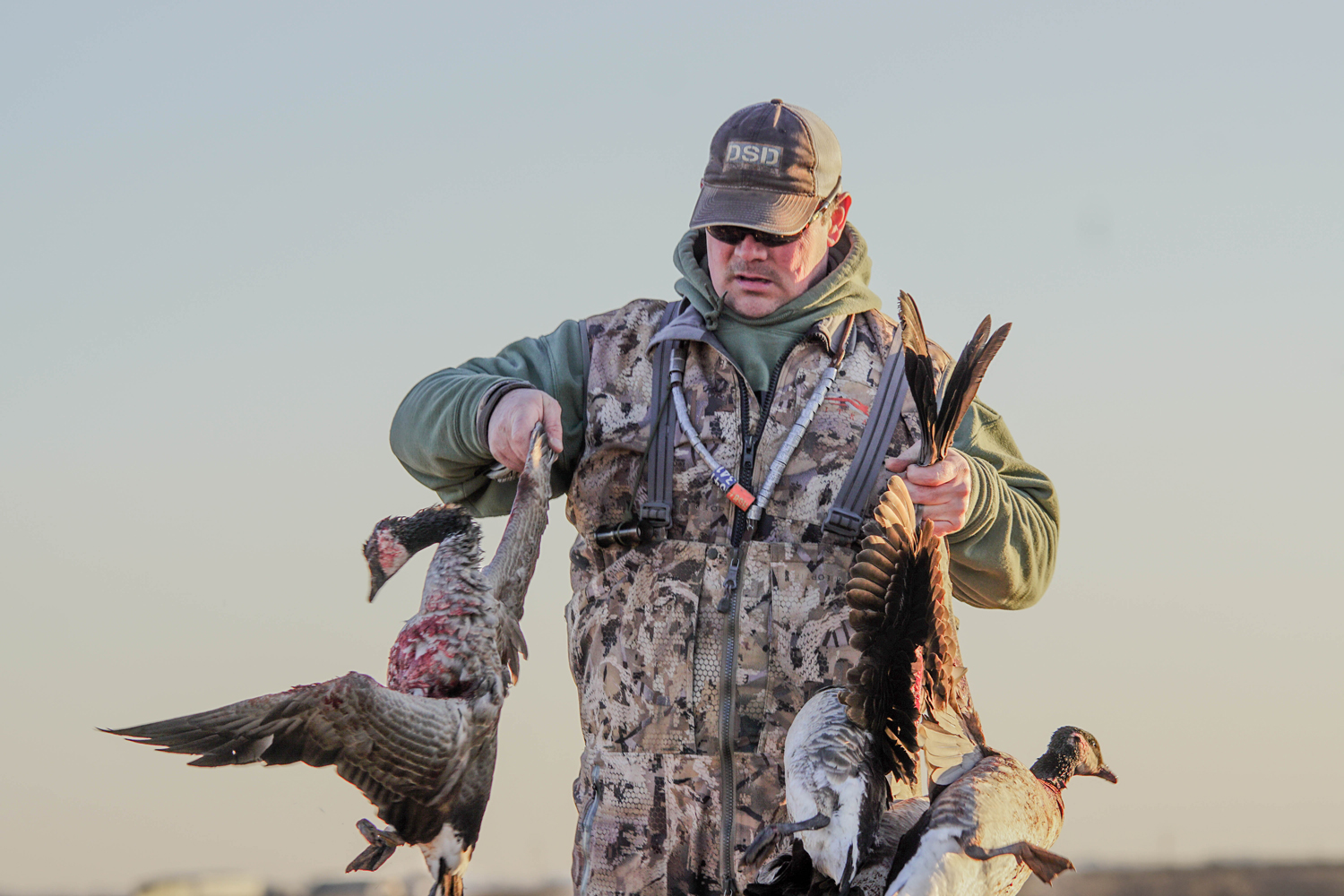 hunter picks up geese