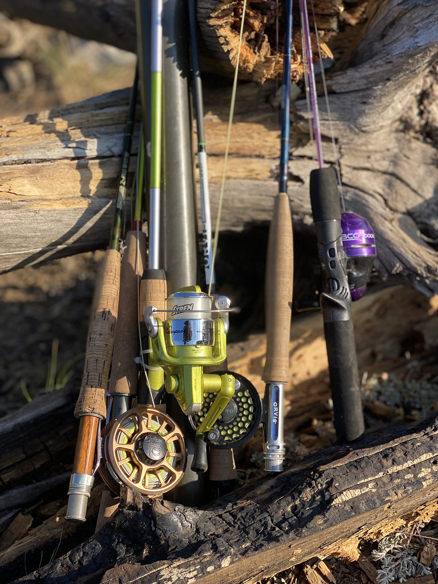 trout rods and reels